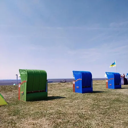 Apart-lachmoewe-im-moewennest-tossens Stick