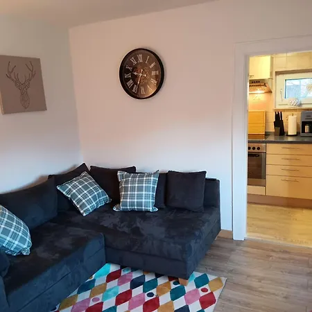 Apart-lachmoewe-im-moewennest-tossens Stick