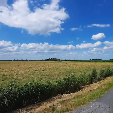 Apart-lachmoewe-im-moewennest-tossens Апартаменты