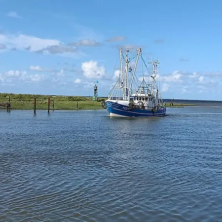 Апартаменты Apart-lachmoewe-im-moewennest-tossens Stick