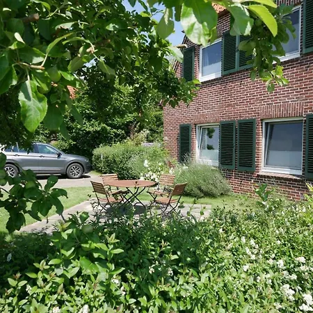 Апартаменты Apart-lachmoewe-im-moewennest-tossens *