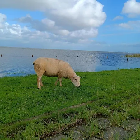 Апартаменты Apart-lachmoewe-im-moewennest-tossens *