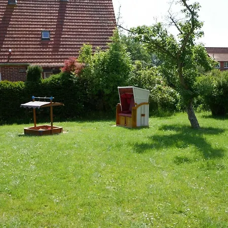 Apart-lachmoewe-im-moewennest-tossens *