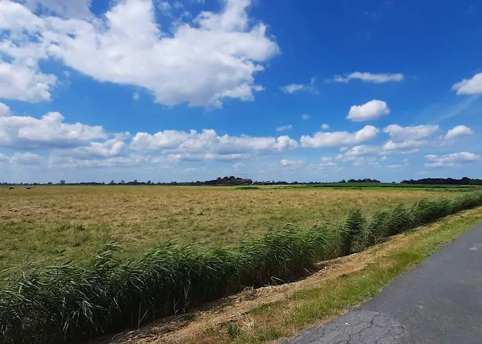 Apart-lachmoewe-im-moewennest-tossens شقة